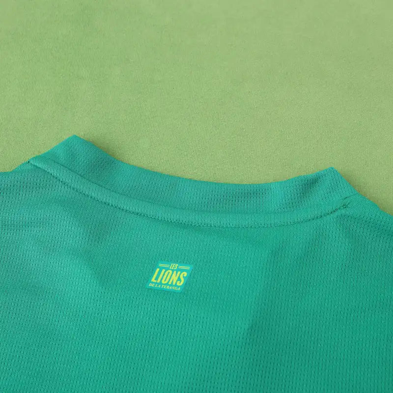 Senegal National Team Away Fan Version 25/26 Season Jersey