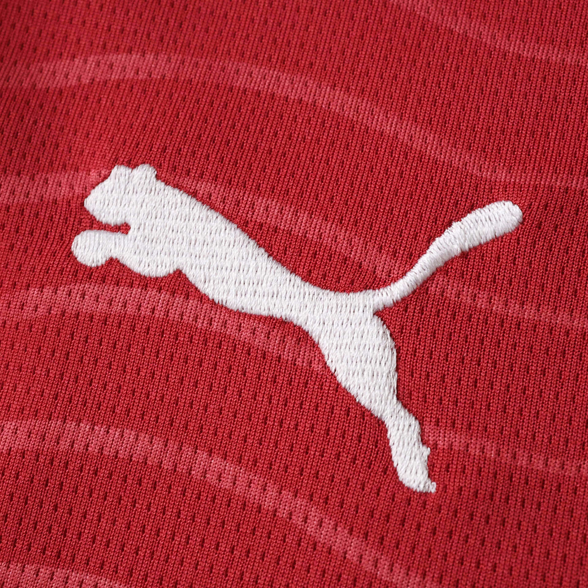 2026 FIFA World Cup Portugal Home Jersey