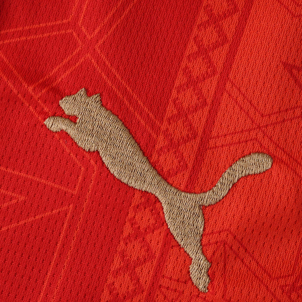 2026 FIFA World Cup Morocco Home Jersey